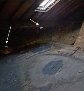 Fig. 1 : Dégradation avancée d’un plancher à cause de tuiles manquantes (flèches)